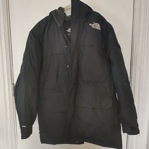 The North face 550 dryvent winter coat